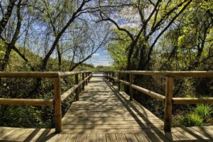 Ecoturismo no Brasil